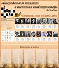Шахматы