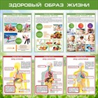 Экология, здоровый образ жизни и здоровье сбережение