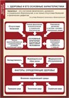 ЗОЖ -Здоровый образ жизни