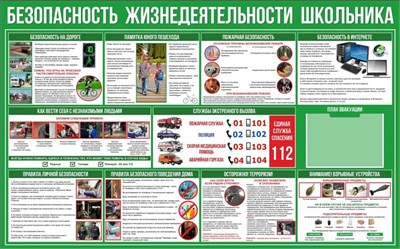 Стенд "Безопасность  жизнедеятельности школьника" 1600 х 1000 пластик 3мм, Карман А4-1шт. (Арт. БШ3) БШ3