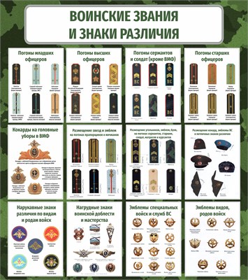 Стенд Воинские звания в вооруженных силах РФ 800 х 900 пластик 3мм 2567