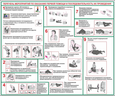 Стенд Перечень мероприятий по оказанию первой помощи 1200 х 1000мм, ПВХ-3мм