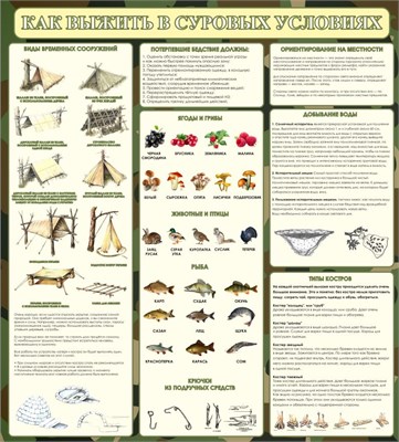 Стенд Как выжить в суровых условиях 900 х 1000 пластик 3мм 2579