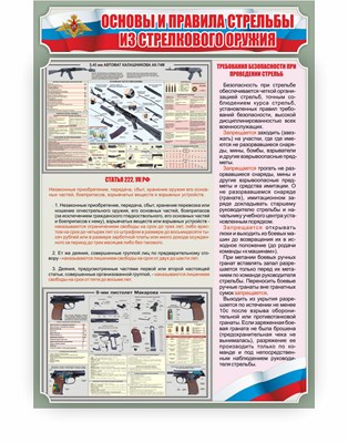 Стенд «Основы правила стрельбы из стрелкового оружия» 690 х 1000 мм пластик 3 мм