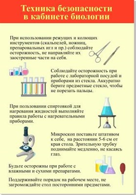 Стенд "Техника безопасности в кабинете биологии" пластик 3 мм размер  680х980 мм