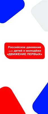 Ролл ап roll up Мобильный стенд "Движение первых" размер 850 х 2000 мм МС01 - фото 5708