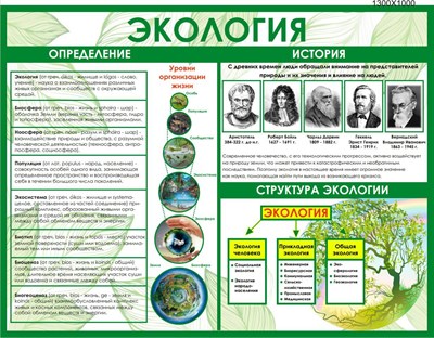 Стенд Экология 1300 х 1000 мм пластик 3 мм Э01 - фото 6114