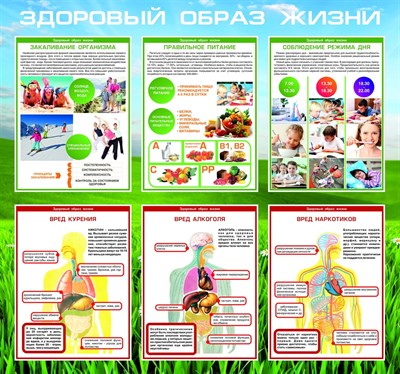 Стенд Здоровый образ жизни размер 800 х 750 пластик 3 мм