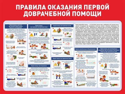 Стенд Правила оказания первой доврачебной помощи размер 1000 х 750 пластик 3 мм
