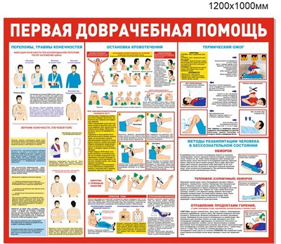 Стенд "Первая доврачебная помощь - переломы, травмы" размер 1200 х 1000 пластик 3 мм
