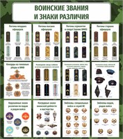 Стенд Воинские звания в вооруженных силах РФ 800 х 900 пластик 3мм 2567
