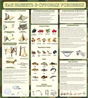 Стенд Как выжить в суровых условиях 900 х 1000 пластик 3мм 2579