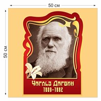 Стенд "Чарльз Дарвин" пластик 3 мм размер 500 х 500 мм