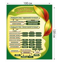 Стенд "Царство животное" пластик 3 мм размер 1000 х 1500 мм