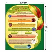 Стенд "Уровни организации живой природы" пластик 3 мм размер 1000 х 1500 мм