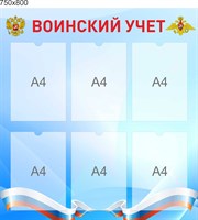 Стенд Воинский учет размер 750 х 800 пластик 3 мм с карманами А4 6шт 2641
