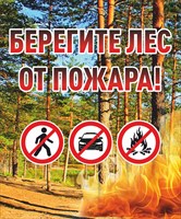 Табличка Берегите лес от пожара 500 х 600 мм  пластик 5 мм А6