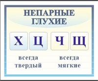 Стенд "Непарные глухие"  500 х 400 пластик 3мм