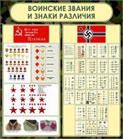 Стенд "Воинские звания и знаки различия " размер 800 х 900мм, пластик 3мм 26674