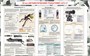Комплект стендов по Начальной военной подготовке (НВП) в комплекте 11 стендов, ПВХ-3мм ОБЗР35