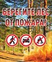 Табличка Берегите лес от пожара 500 х 600 мм  пластик 5 мм А6 - фото 6686