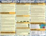 Стенд Воинский учет и бронирование граждан  размер 1000 х 800 пластик 3 мм с изменениями от 2024г 2656 - фото 6840