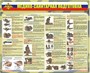 Стенд "Медико-санитарная подготовка" 1200 х 1400 мм; ПВХ - 3мм