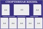 Стенд "Спортивная жизнь" 1200 х 800, пластик 3 мм, карман А4-7шт., карман А3-1шт. (цвет -синий)